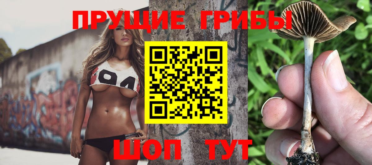 Симферополь  Галлюциногенные грибы мицелий  Вход с VPN 